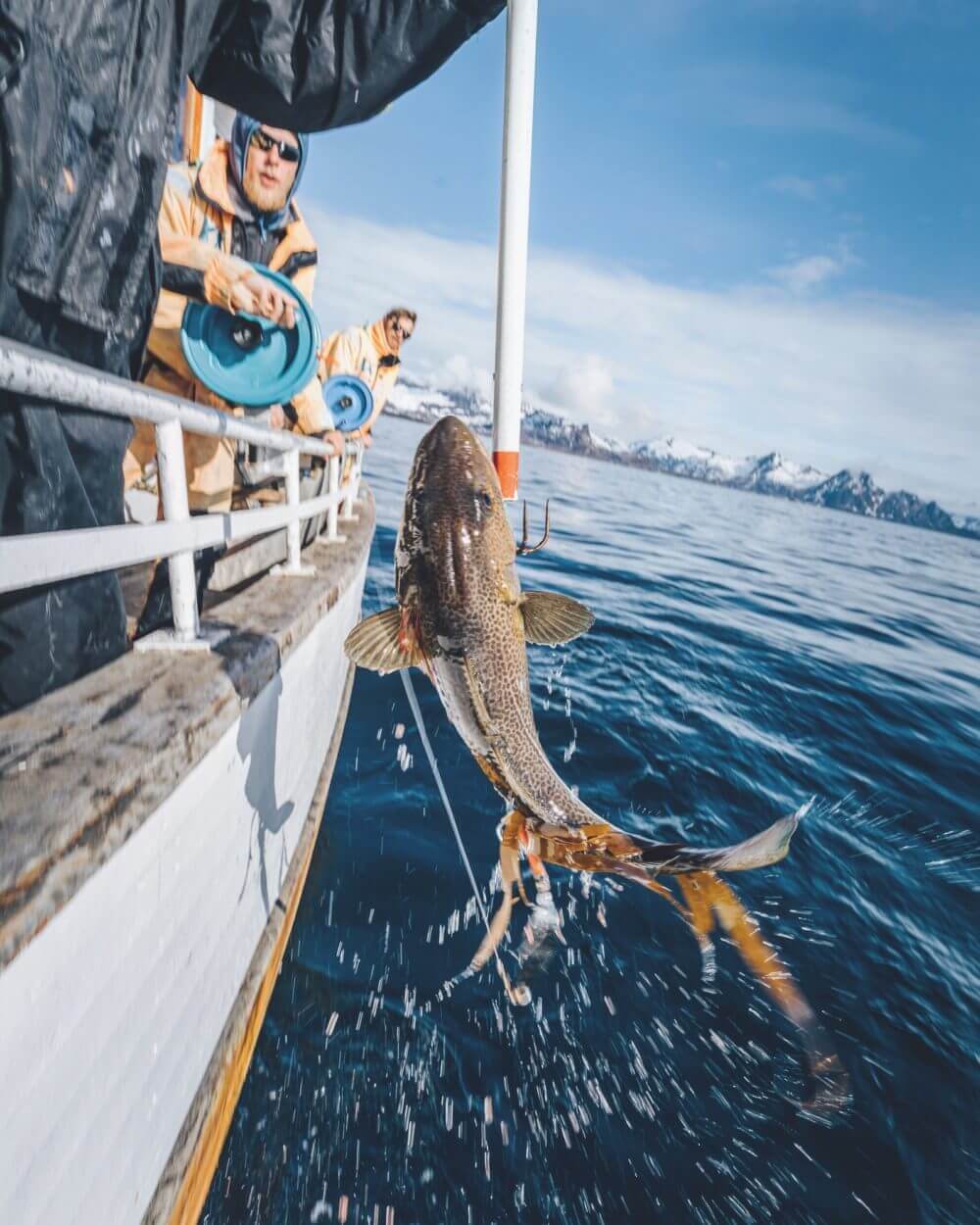 Fishing E1625801026989
