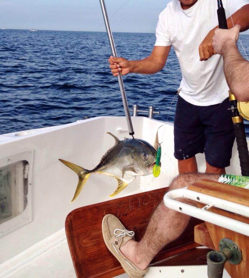 Yellow Fin Tuna Fishing 800x891